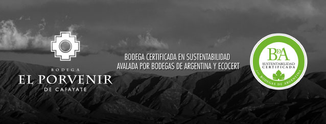 popup_porvenir